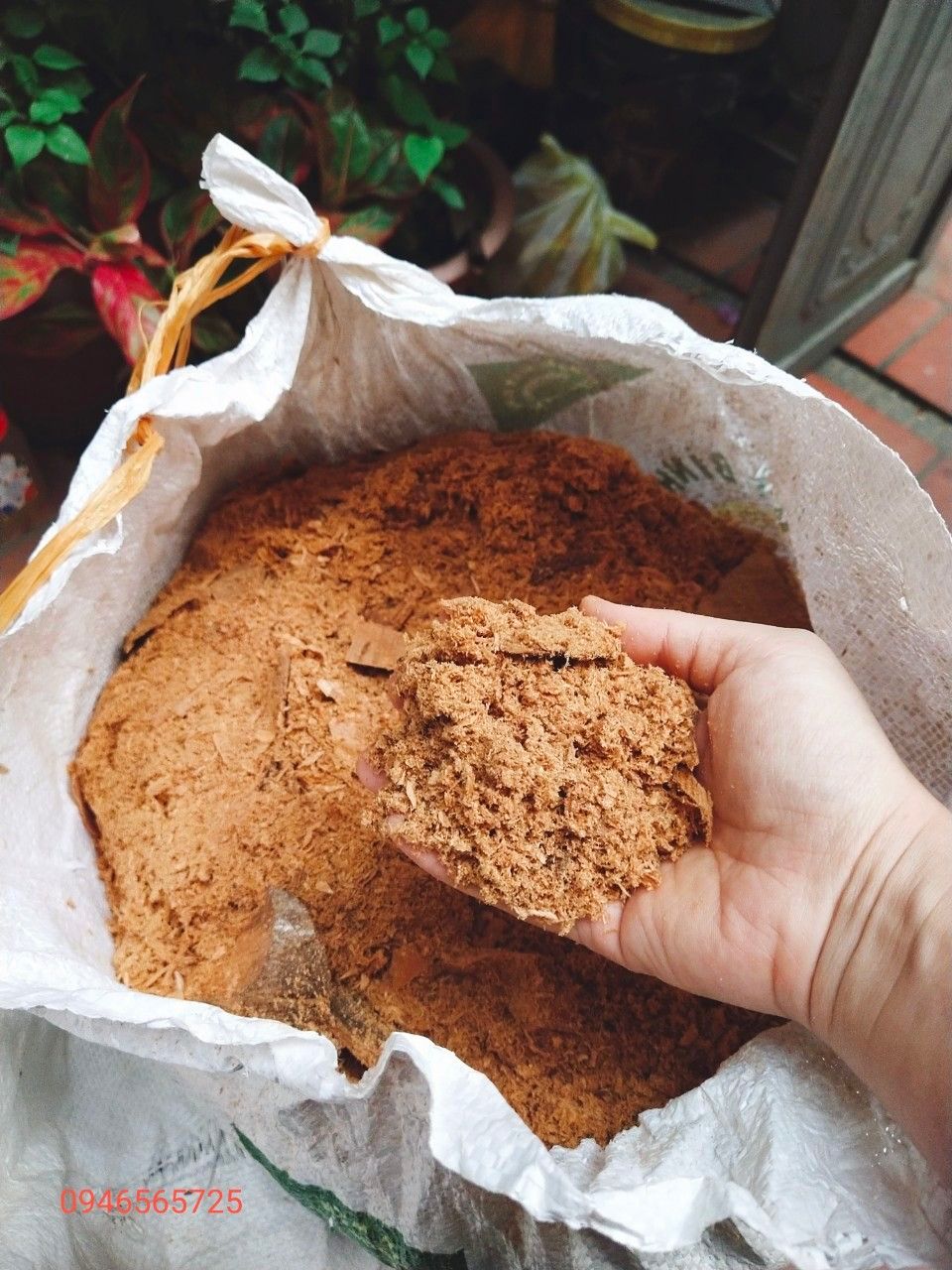 1kg vụn gỗ ngọc am