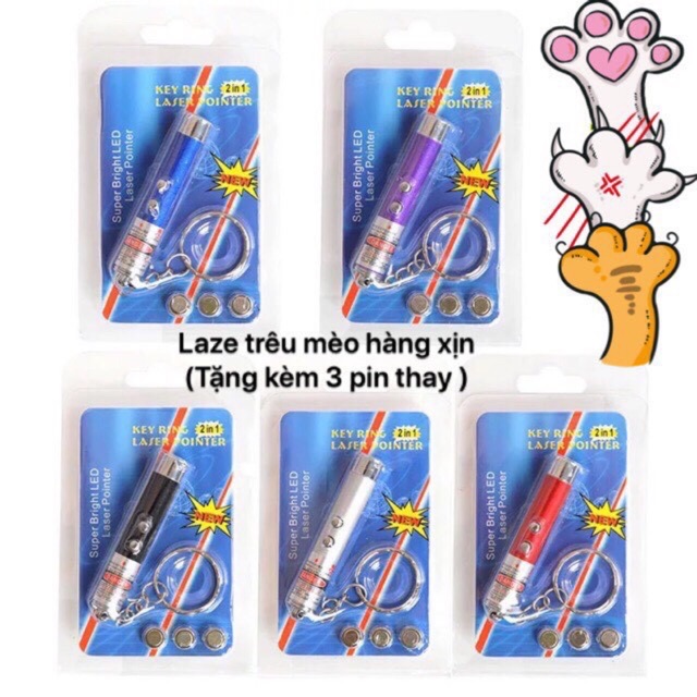 Đèn laze trêu mèo!!!