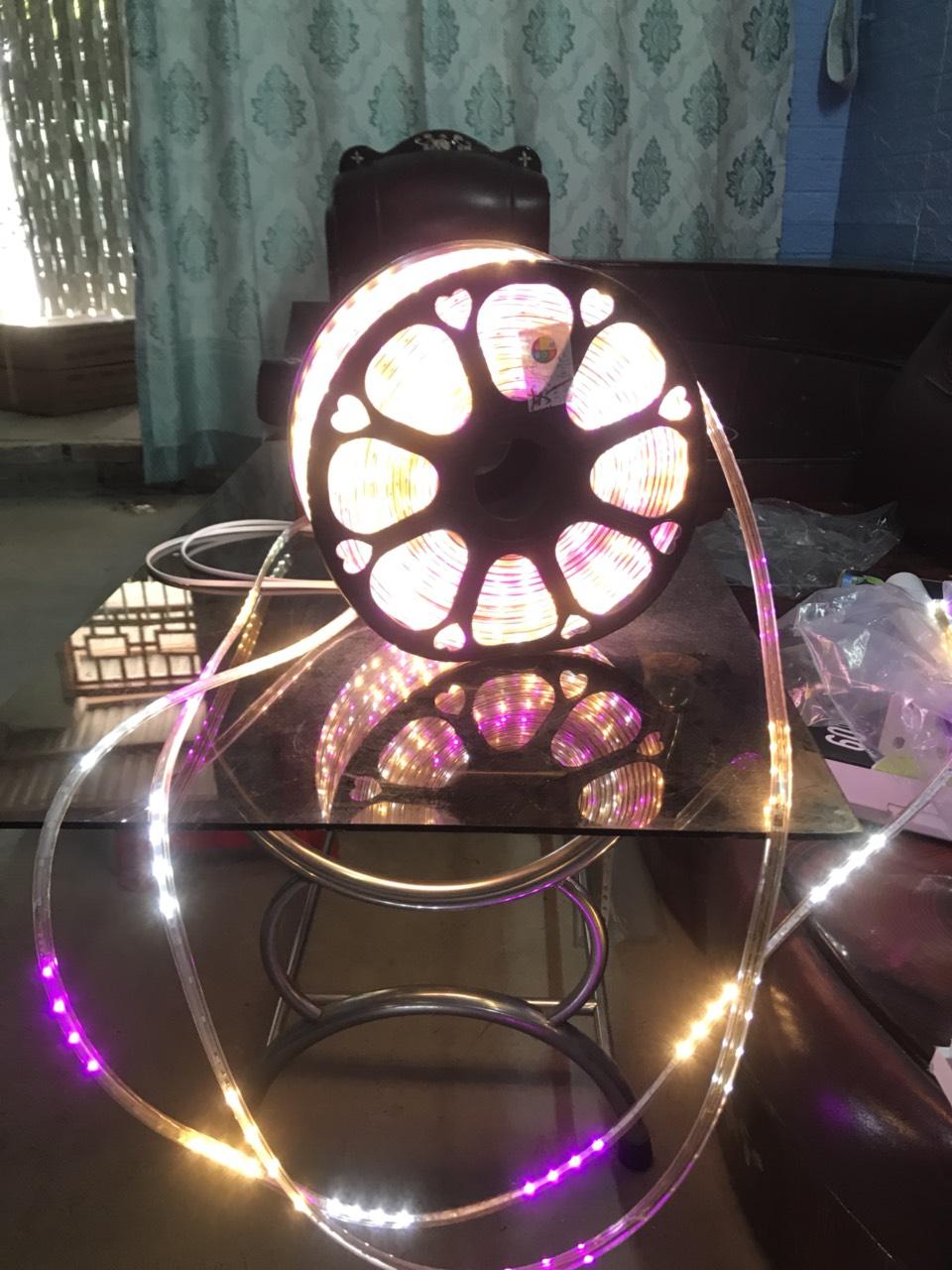 led đuổi 6 màu,2835 100m tặng 2 dây nguồn