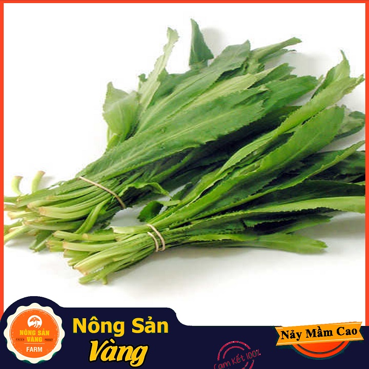 Easy Care linen vegetable seeds, easy to grow, grow well, single year restock (5 gram pack)-yellow agricultural product