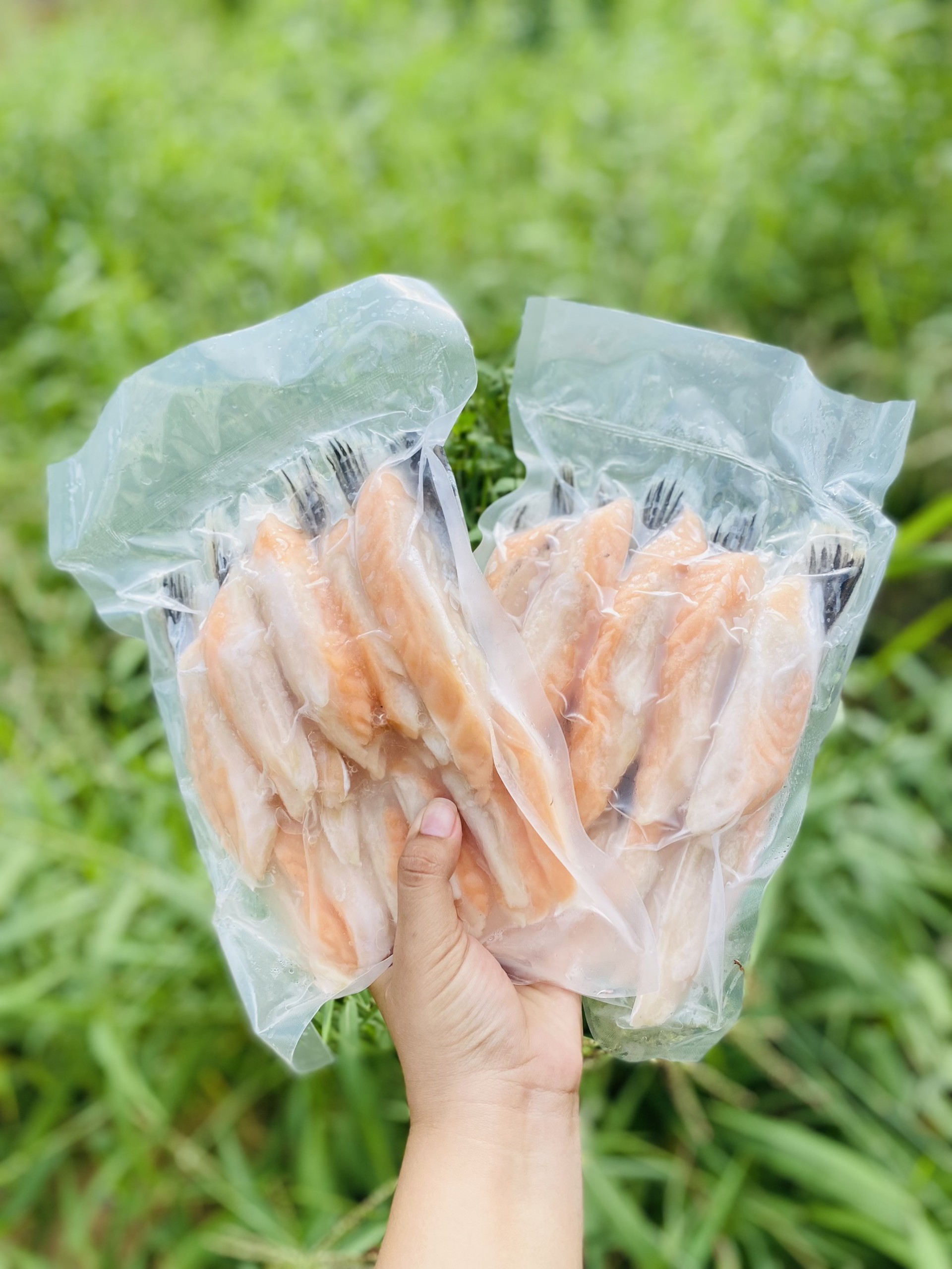 [GIAO NHANH 2H HCM] Giá Sỉ - Vây Cá Hồi Na Uy (1Kg)