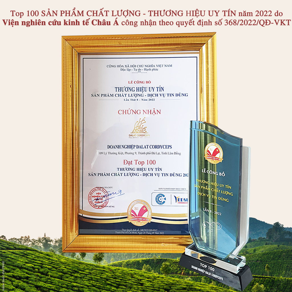 Cao hà thủ ô đỏ - Dalat Cordyceps