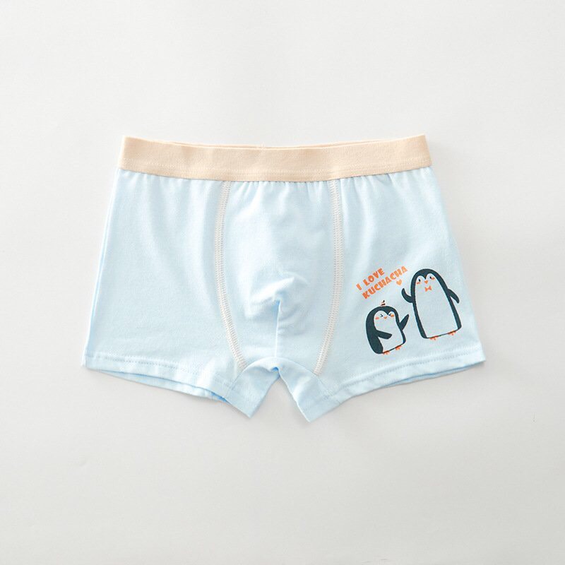 [HCM]Combo 4 quần sịp bé trai đủ size 7-45kg