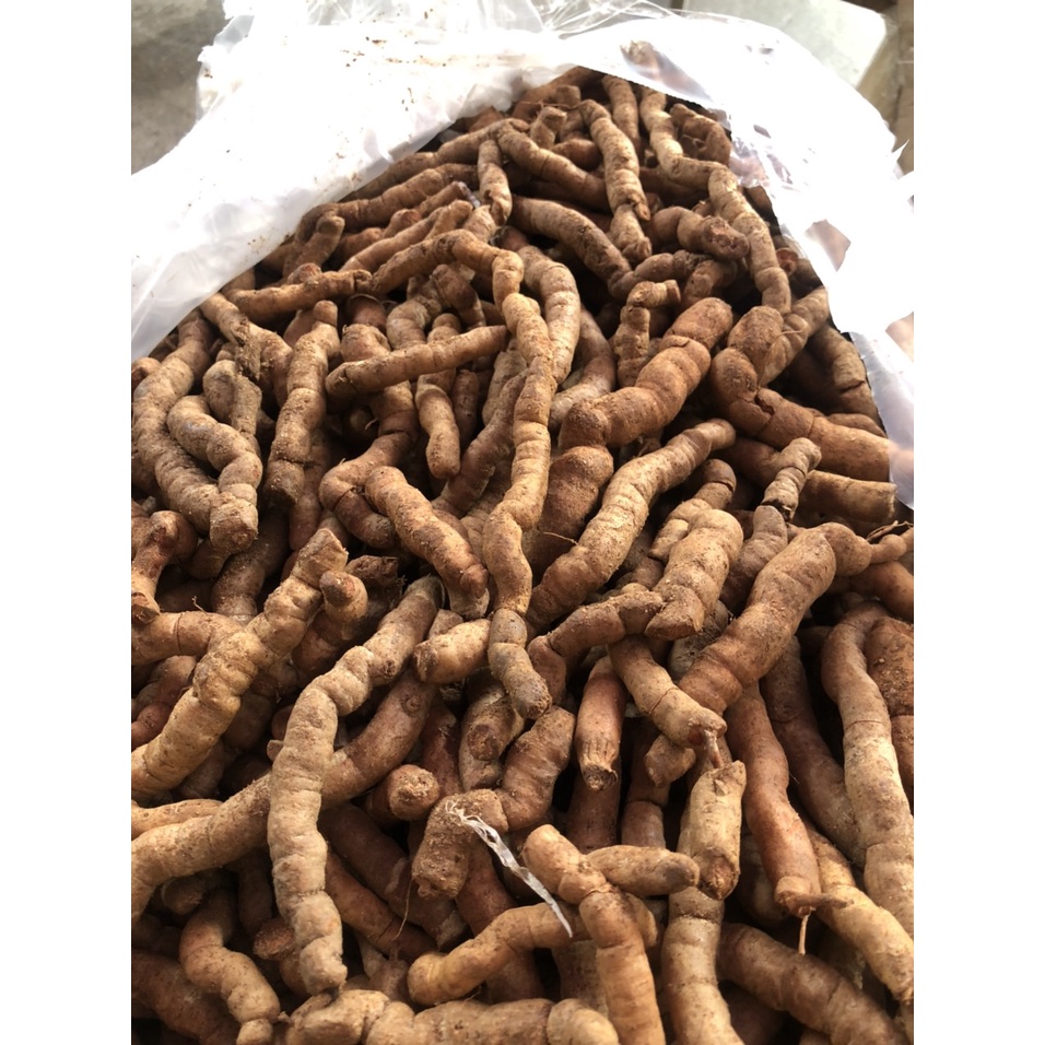 Ba kích tím Quảng Ninh [1kg]