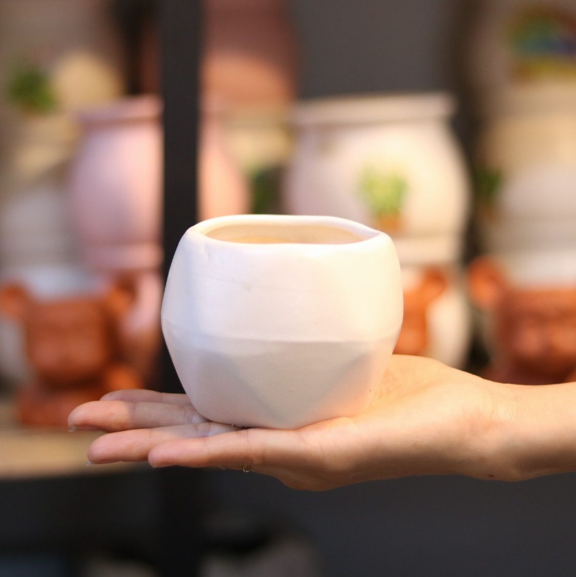 Chậu trồng sen đá, xương rồng, chậu trồng cây mini, bonsai hình đa giác