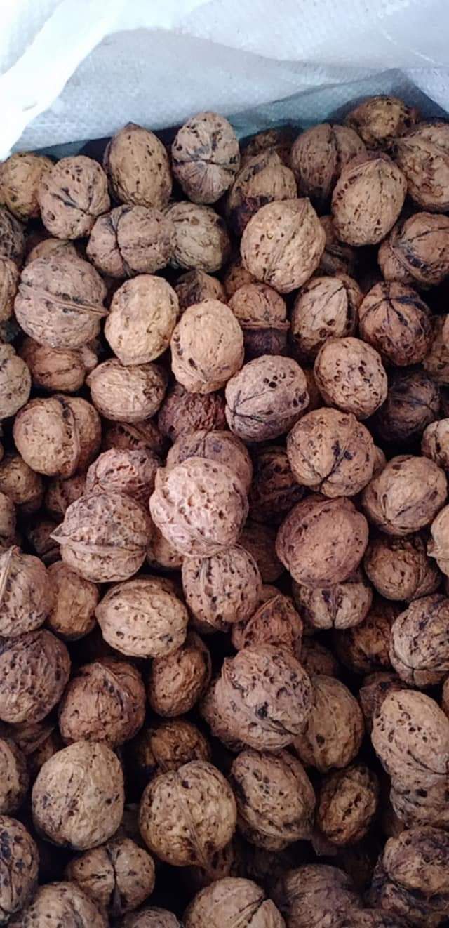 Quả óc chó nếp rừng Lai châu 1kg