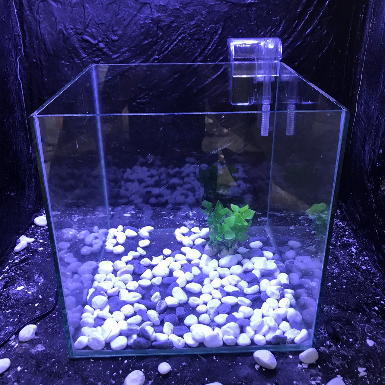 Bể cá mini CUBIC 25cm dành cho nuôi cá cảnh hồ thủy sinh