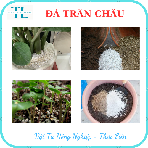 Đá perlite (100g) - Đá trân châu giàu khoáng chất