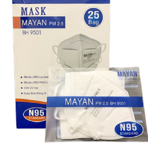Khẩu Trang Mayan N95 PM 2.5 BH 9501 kháng khuẩn gói 2 cái Thegioiykhoa