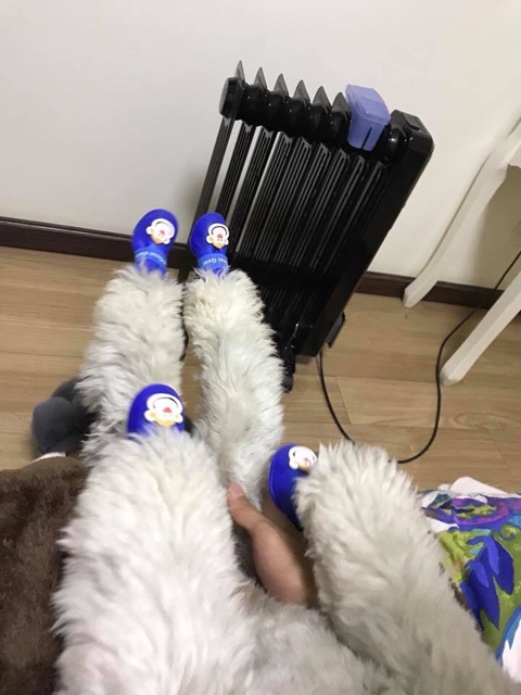 Giày silicone đi nắng, đi mưa cho cún cưng♥️