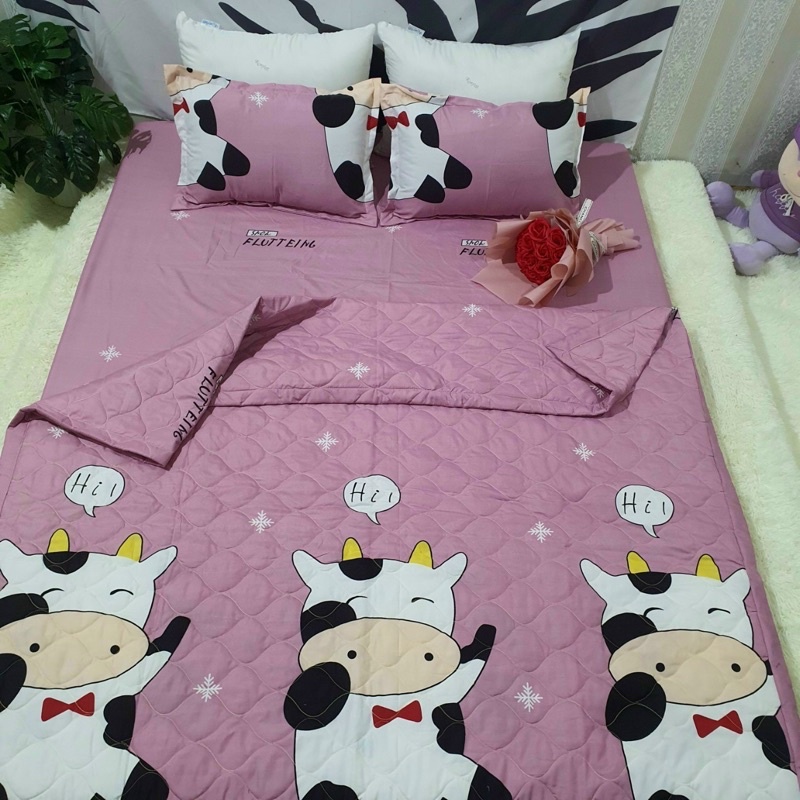 Set chăn hè 5 món cotton poly kích thước 1m2