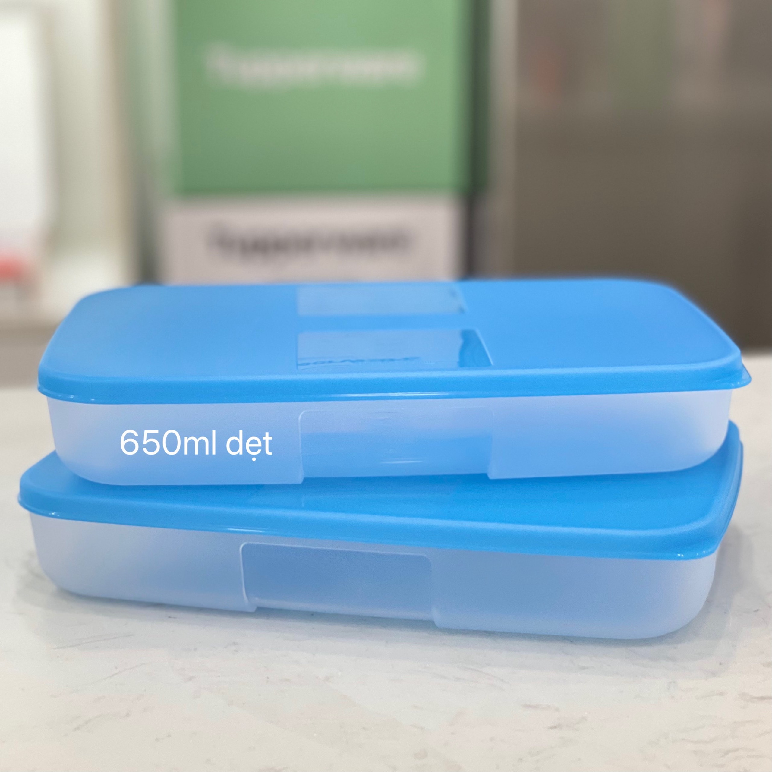 Hộp Trữ Đông Dẹt Tupperware 550ml - Tupperware Mall Chợ Lớn