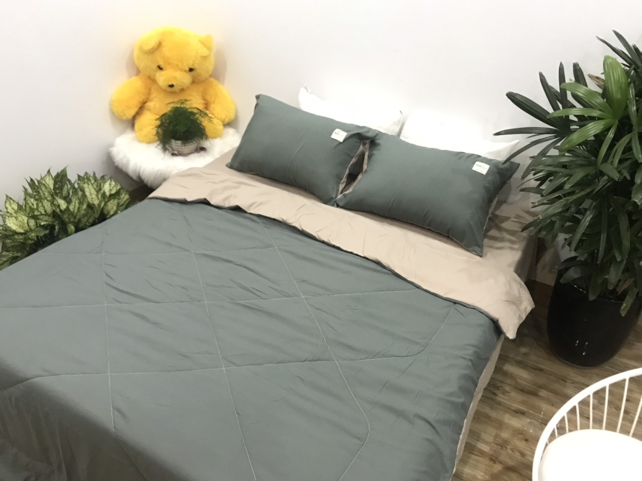 Bộ Chăn Ga Gối Cotton TiCi ( gồm 1 chăn hè đã chần bông, 1 ga và 2 vỏ gôi nằm )