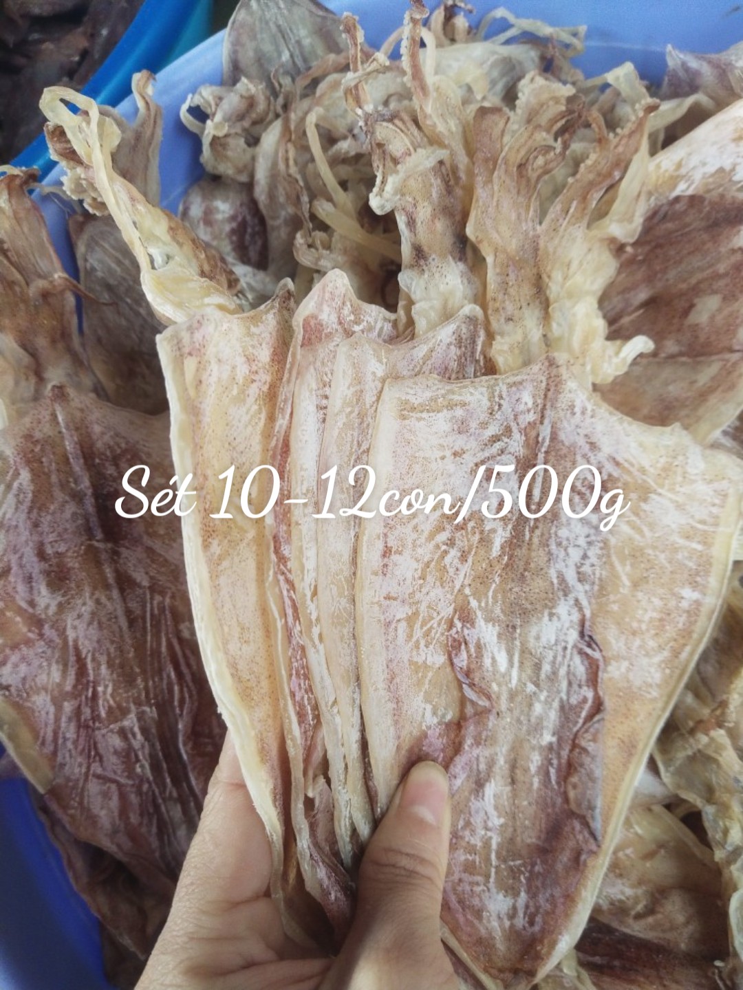 1kg Mực khô câu 20-22con [hàng loại 1 ngon ngọt] -HS01-GHPY