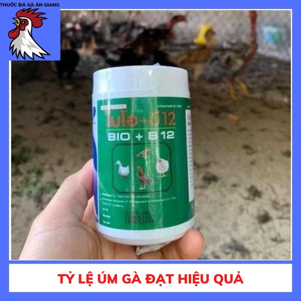 Bio+B12 Thái - (SẢN PHẨM ÚM GÀ CON THÁI LAN )