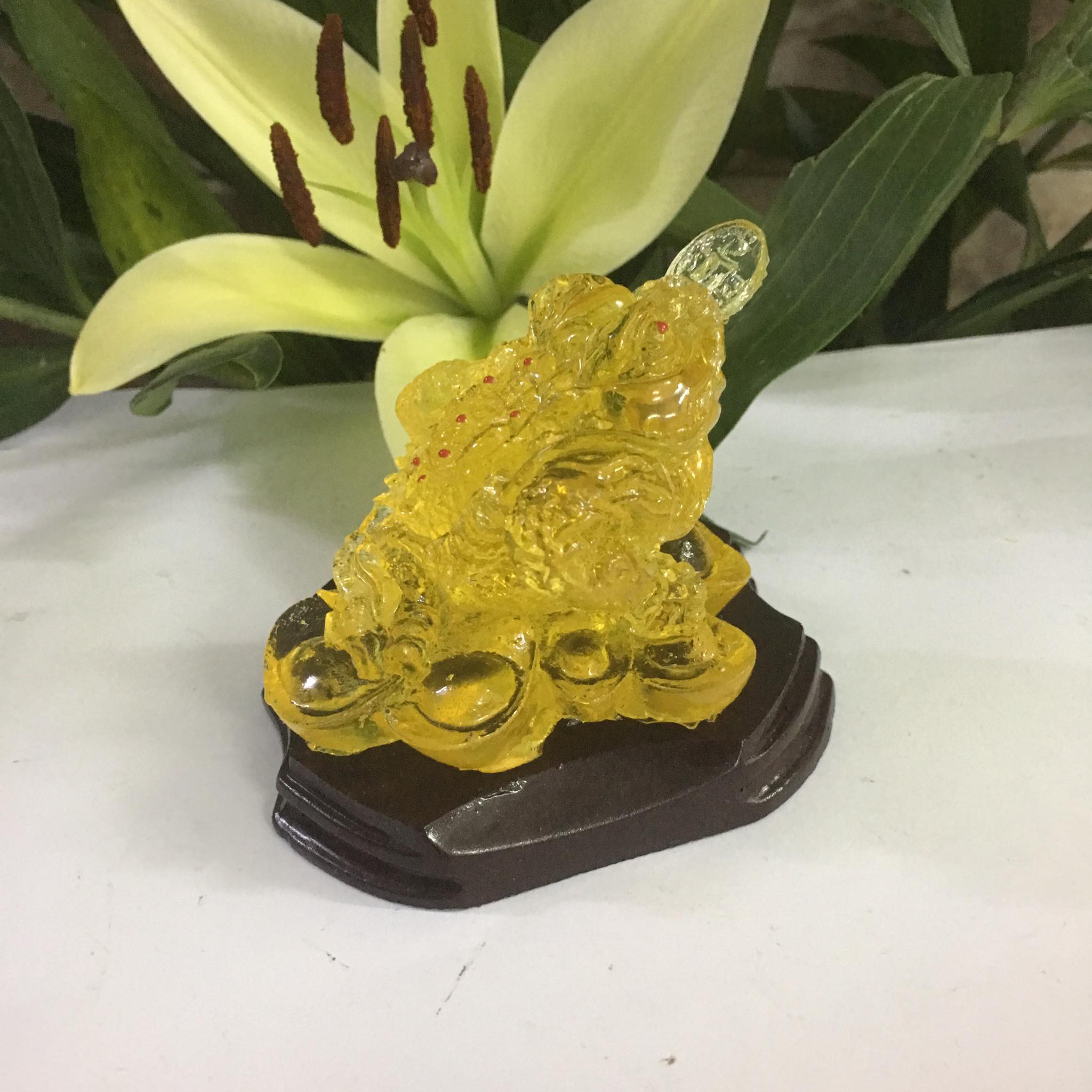 [HCM]Thiềm thừ mang tài lộc cỡ nhỏ