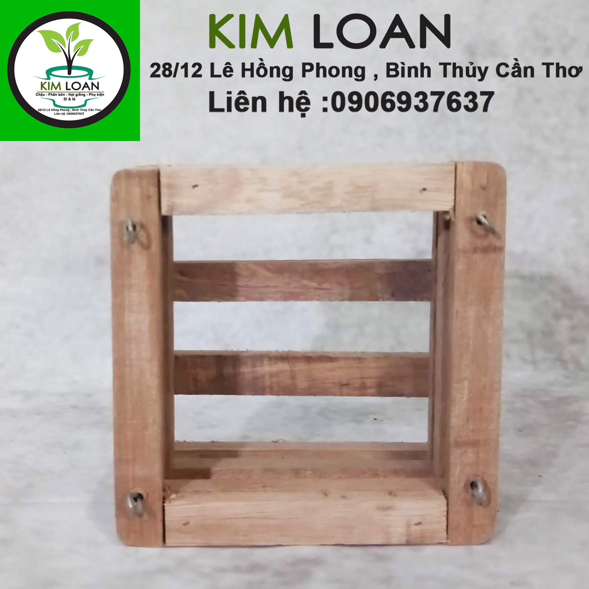 Chậu lan gỗ hộp vuông 15x7cm