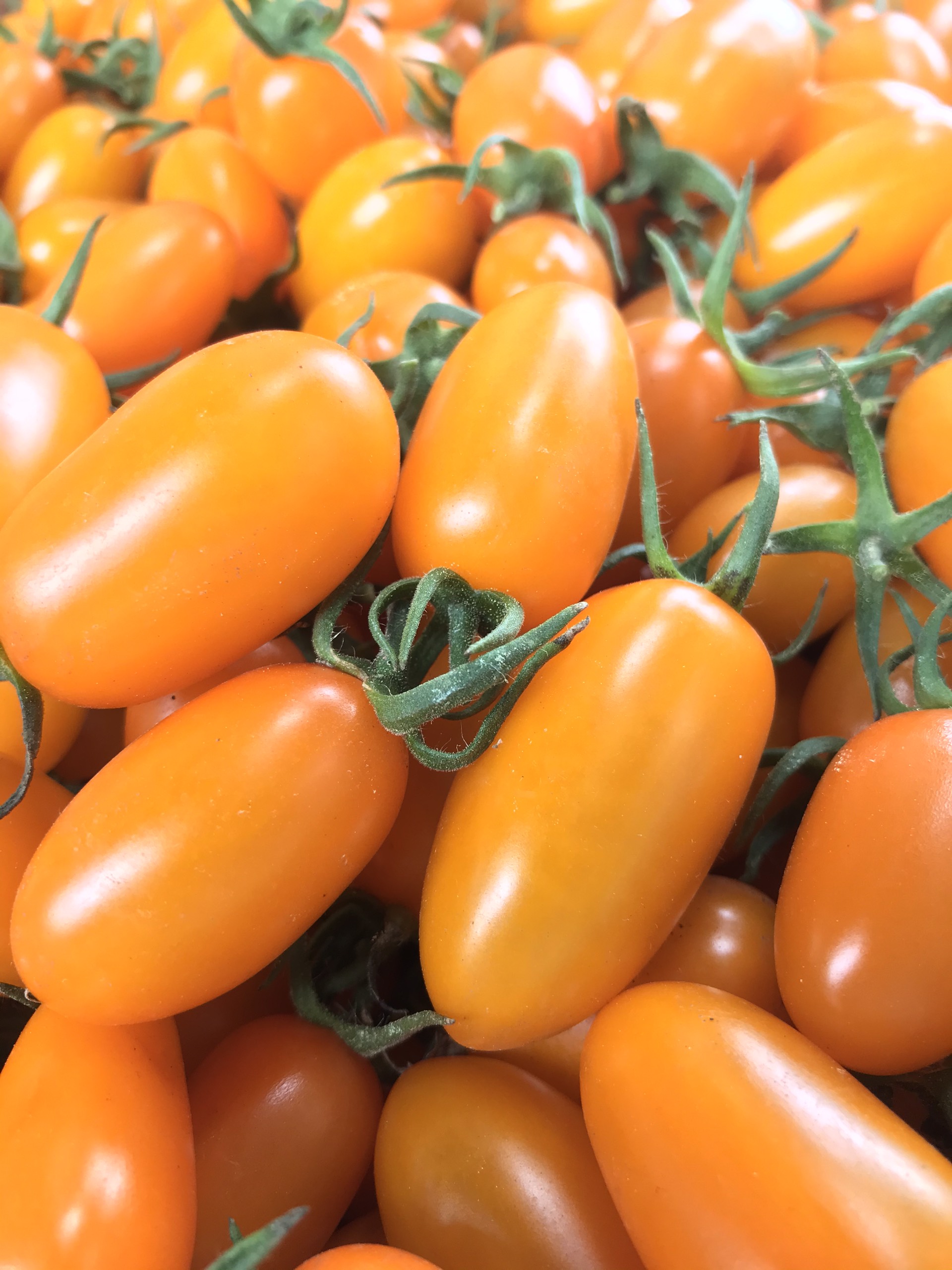 Cà trái cây Nova Dak Lak hộp 500 gram