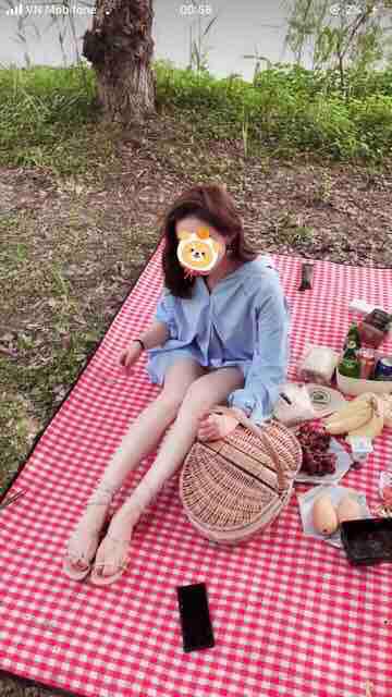 Giỏ mây picnic