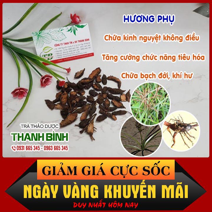 Hương Phụ 100g Hàng Chất Lượng- Dược Liệu Thanh Bình