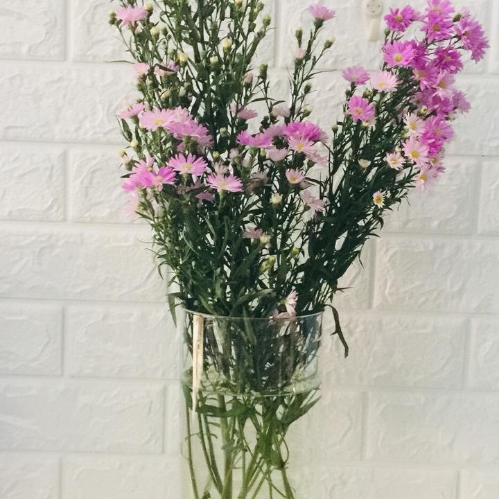Chậu thủy tinh cắm hoa 12x30cm