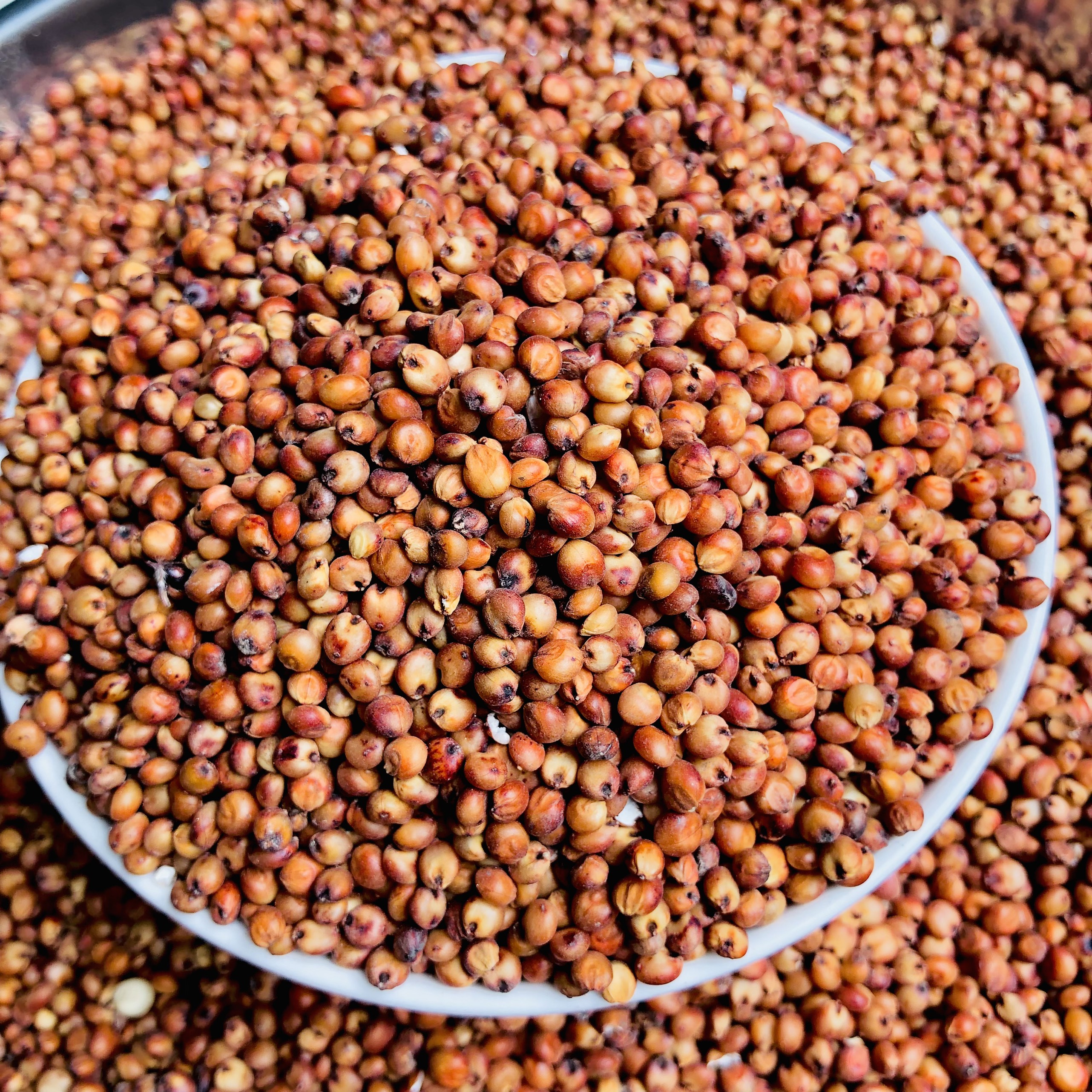 1kg hạt Bobo đỏ  , Ý Dĩ ( thức ăn yêu thích gà đá, chim cảnh... )
