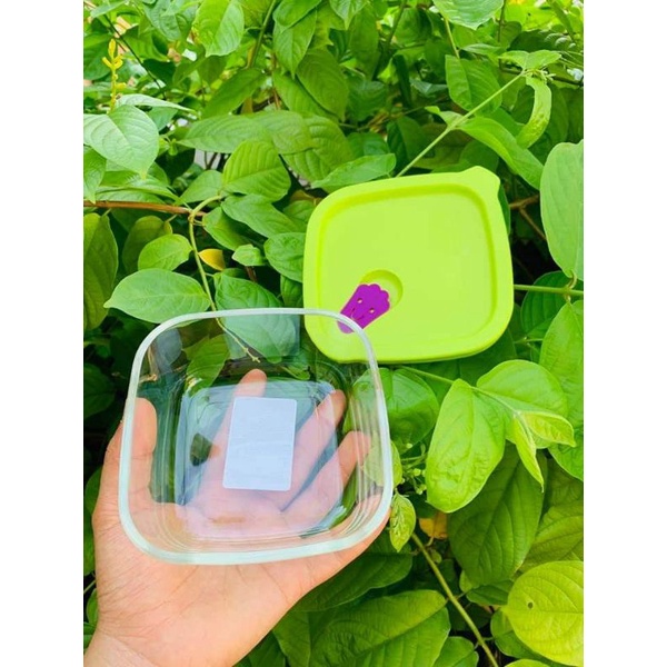 Hộp thủy tinh nắp Silicon Lock&Lock loại #410ml