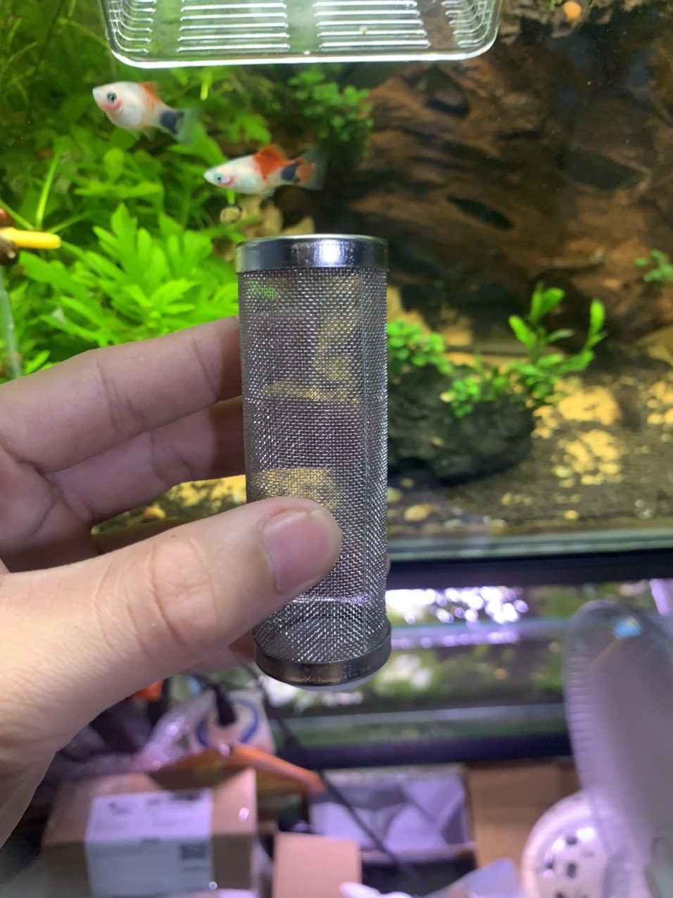 Bịt tép inox các loại fi12, fi16 siêu đẹp