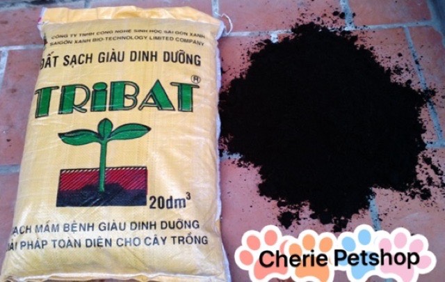 [HCM]Đất Trồng Dinh Dưỡng Trồng Cây Cỏ