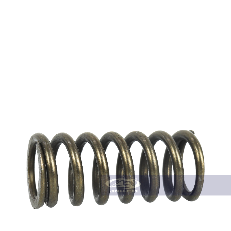 Lò xo nồi RGV (CYT) - RGV120-0790