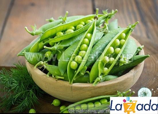 10Gr Hạt Giống Đậu Hà Lan (A2.303| Y25*W23*M030)