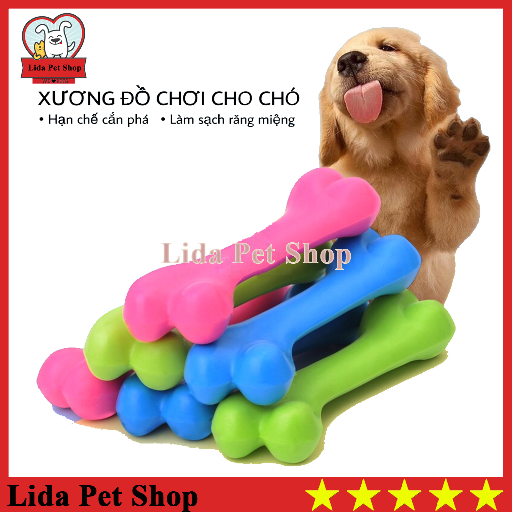 Hn- đồ chơi xương gặm sạch răng cho chó mèo - lida pet shop
