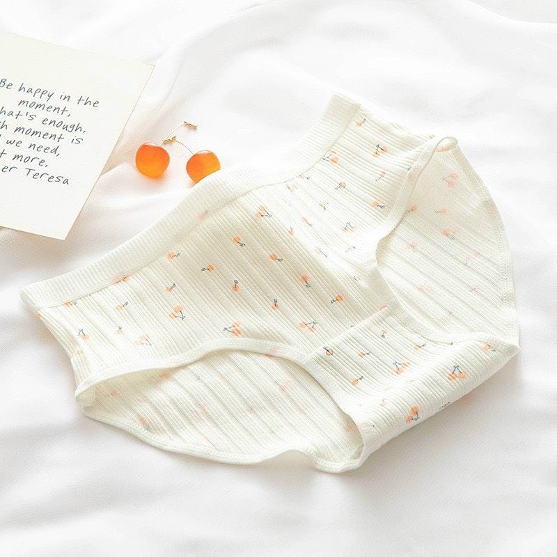 combo 5 quần cherry xanh chất cotton mát từ 40-58kg