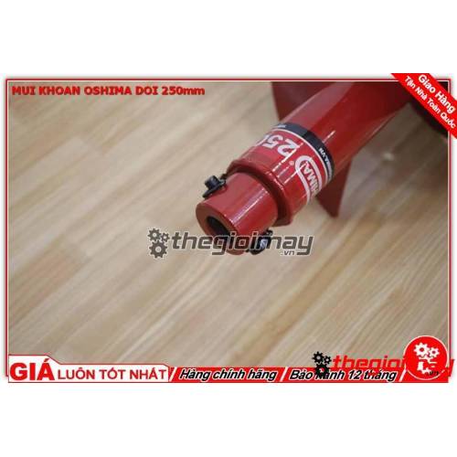 [HCM]Mũi khoan đất đôi 300mm