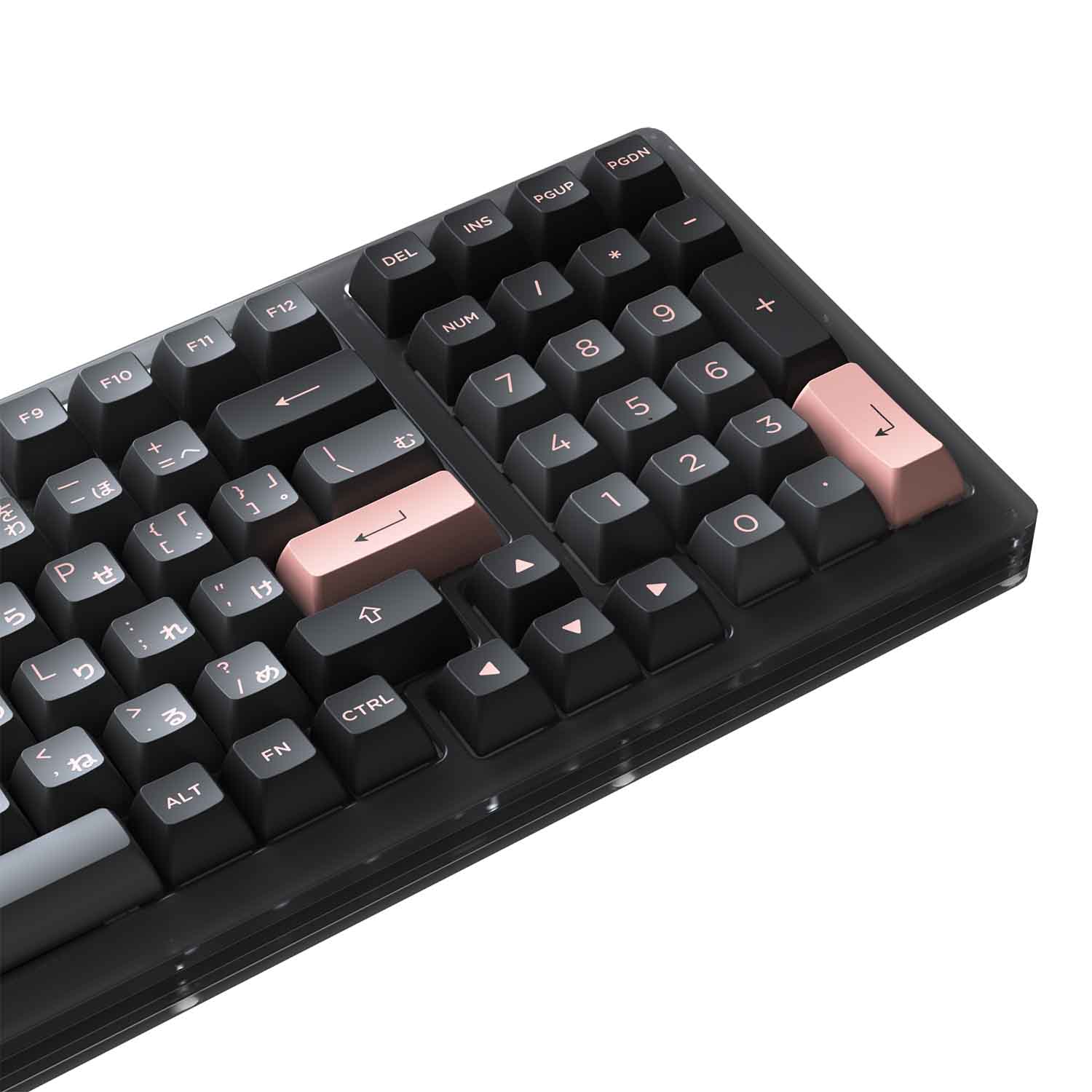 Bàn phím cơ AKKO ACR98 Black (Hotswap / RGB / AKKO CS sw Jelly Black)