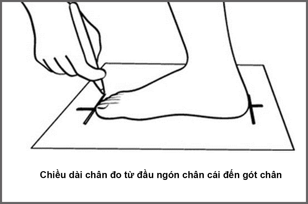 Dép Cho Mẹ Có Size Lớn 38-42 đế cao 5cm