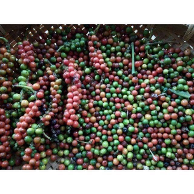 1 kg tiêu đen cay, thơm, chắc hạt
