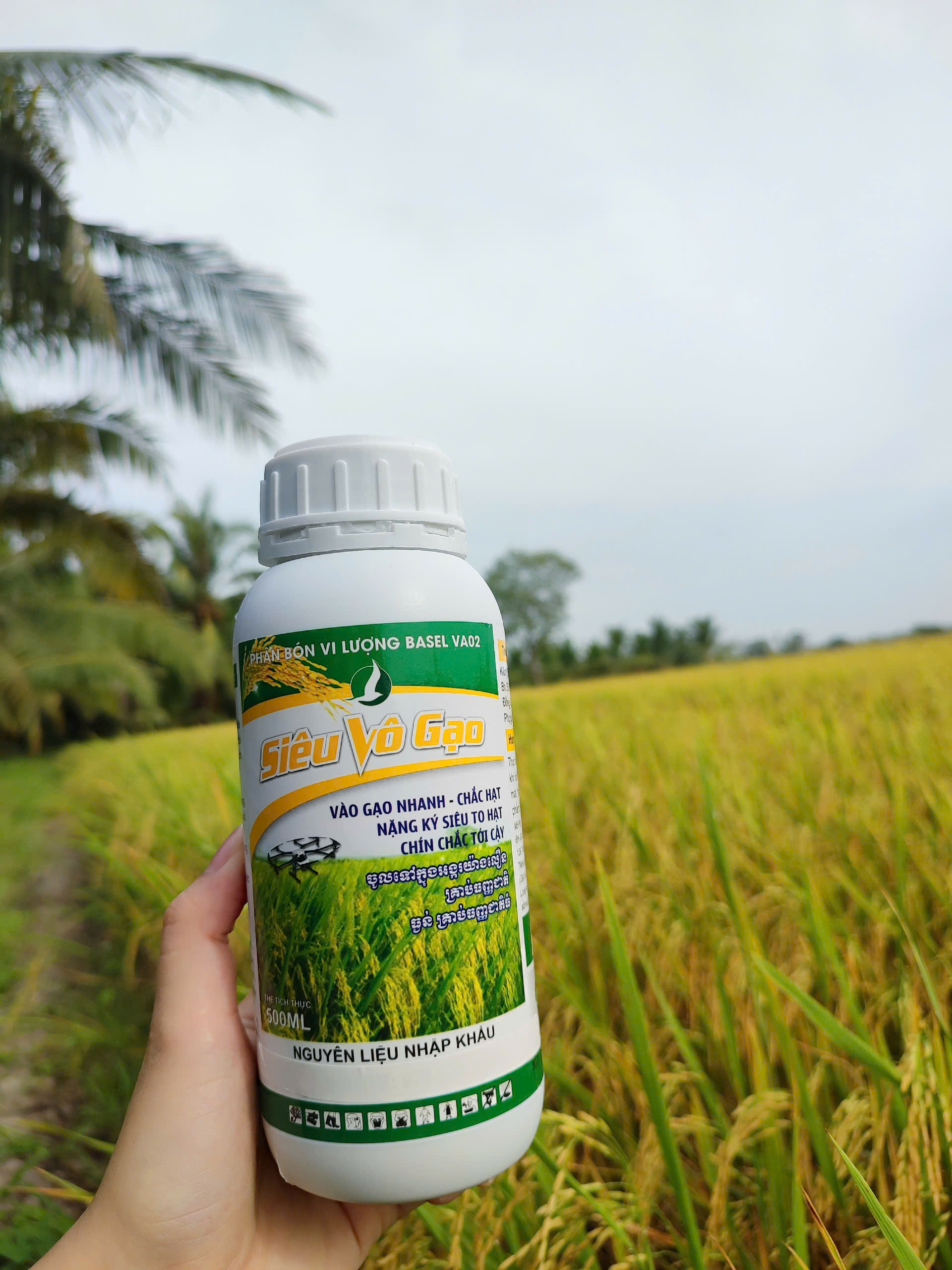 PHÂN BÓN CHO LÚA SIÊU VÔ GẠO (chai 500ml)