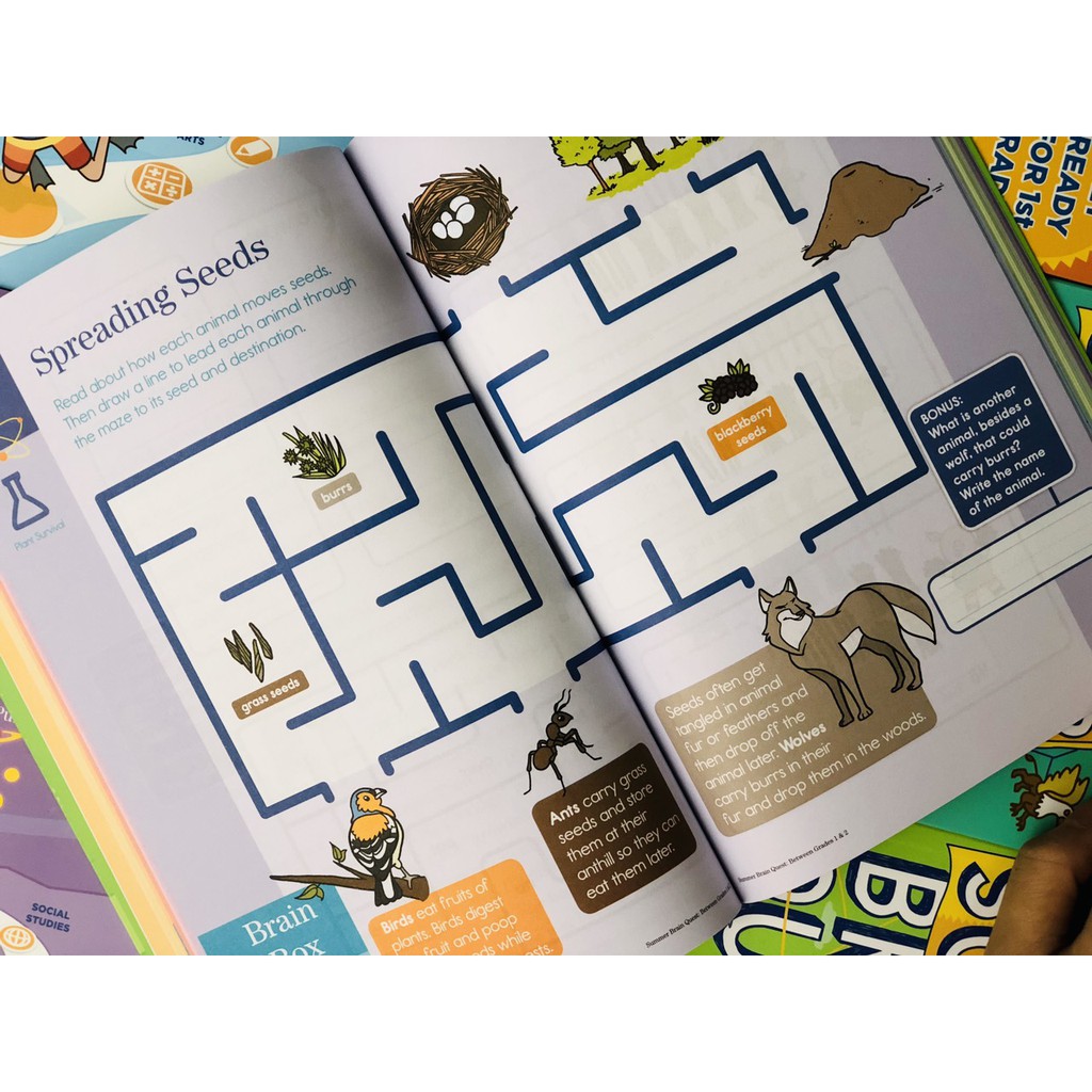 Sách Summer Brain Quest Grade 1&2 ( 6 - 7 Tuổi ) - Nhà Sách Giáo Dục Á Châu