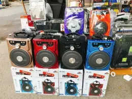Loa Bluetooth Hát Karaoke Âm Chuẩn Profit P88 Tặng Kèm Micro