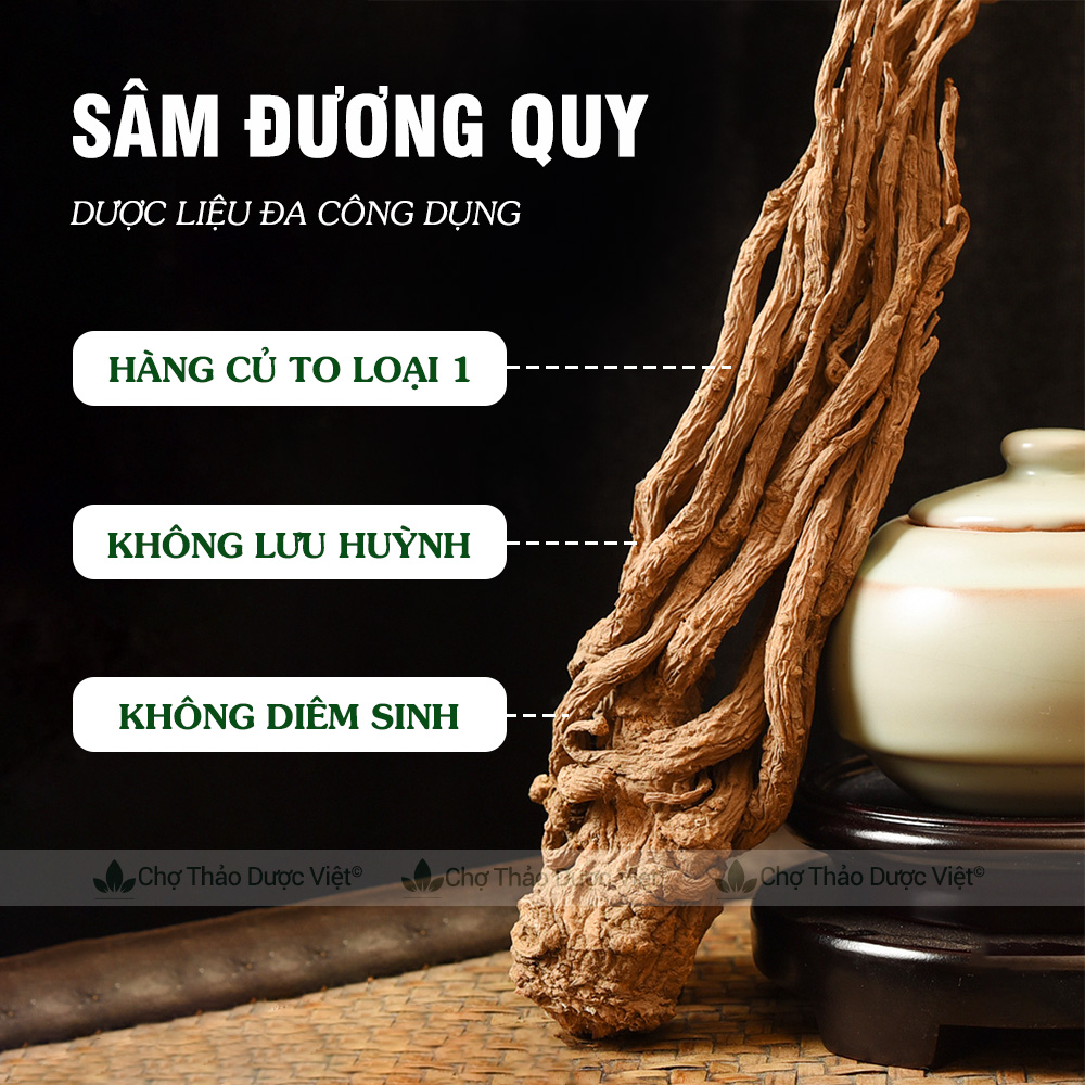 Sâm đương quy loại 1, củ to đẹp 100g