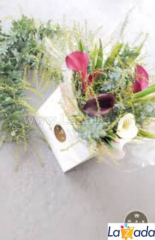50h Hạt Giống Cây Mimosa Lá Me (| -KD: B21*X55*M224)