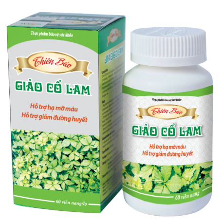 THIÊN BẢO GIẢO CỔ LAM - 1 hộp (60v/hộp)