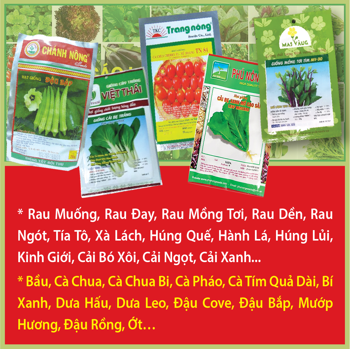 Hạt giống các loại Rau