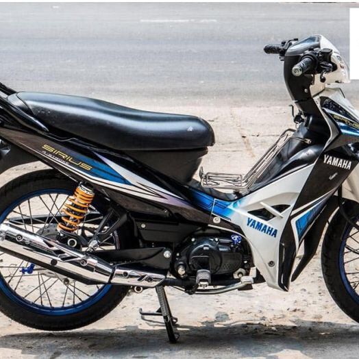 Tem rời Sirius thường trắng xanh đen