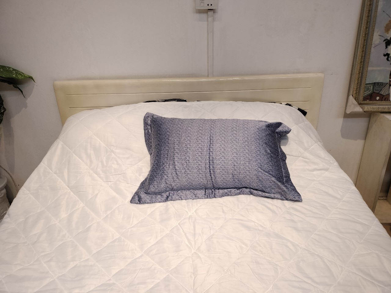 Vỏ gối Lasante Pháp Modal, Tencel 50*70