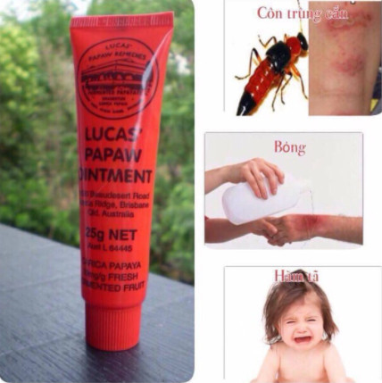Kem đa năng lucas papaw Ointment 25gr Úc