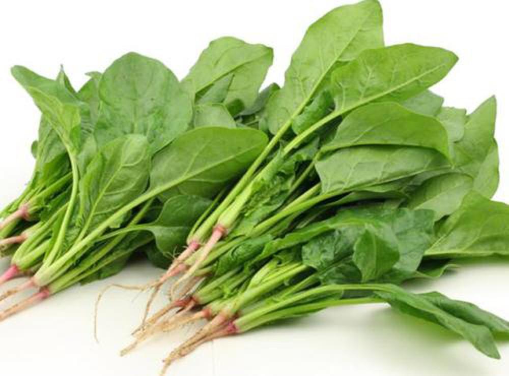 Hạt Giống Rau Chân Vịt (Cải Bó Xôi) - 20gr