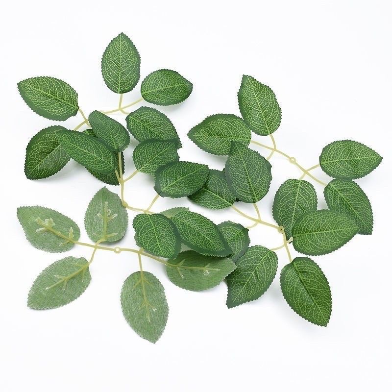 Hoa giả - 10 Lá hồng gân