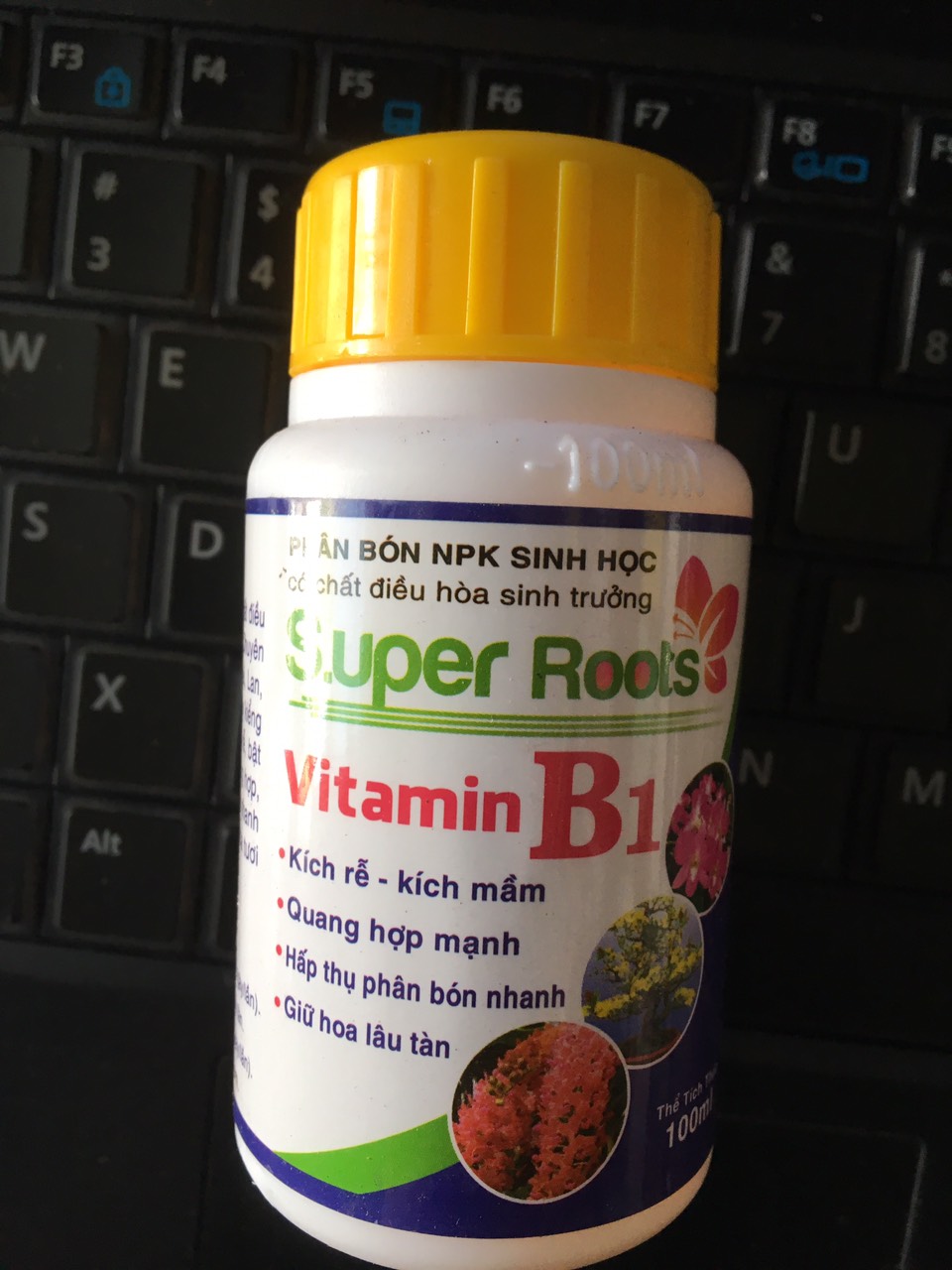 Vitamin B1 Super Roots – Kích rễ, kích mầm, giữ hoa lâu tàn lọ 100ml